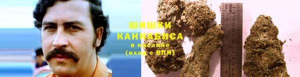 прущие крисы Новодвинск