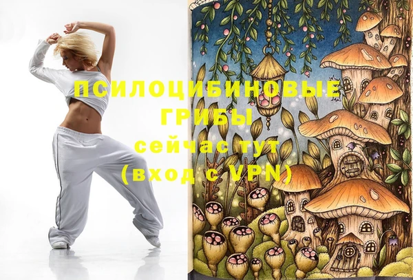 марихуана Новозыбков