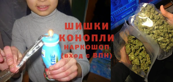 прущие крисы Новодвинск
