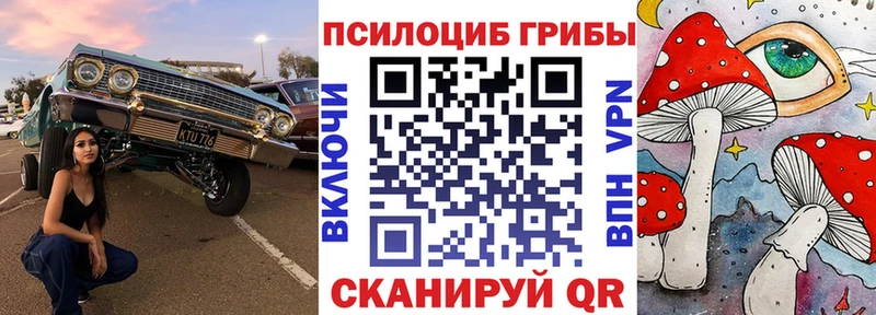 blacksprut сайт  Тольятти  Псилоцибиновые грибы прущие грибы  купить  сайты 